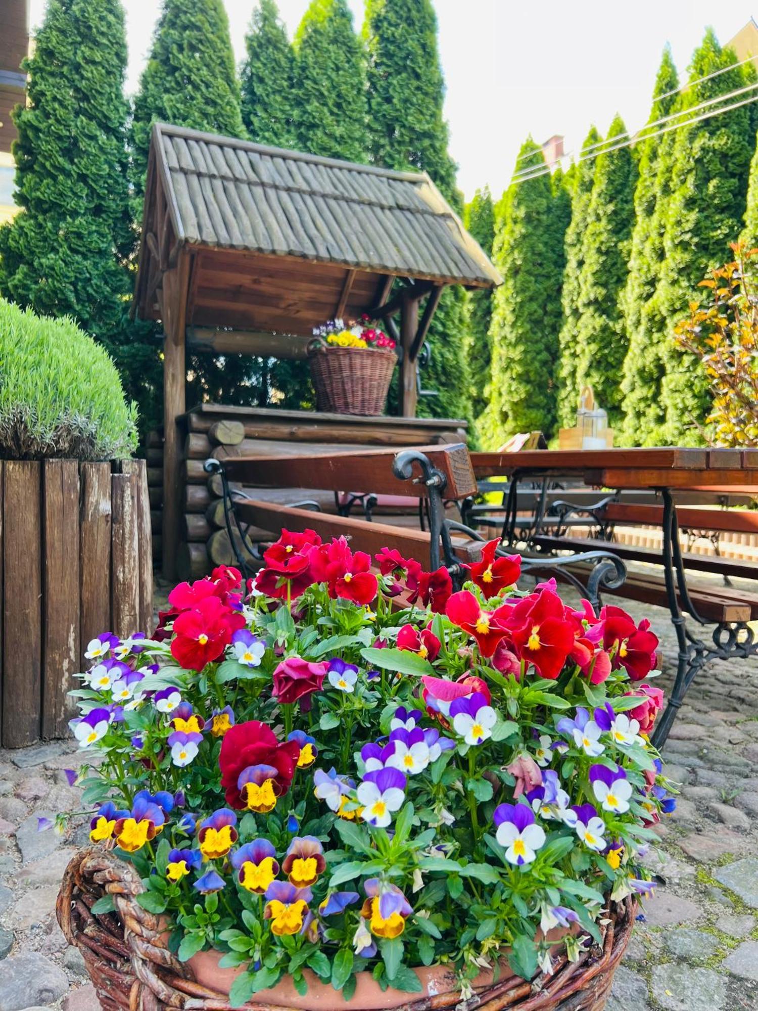 Pod Katedra Bed & Breakfast Drohiczyn Bagian luar foto